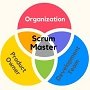 Хто такий Scrum Master, і чи потрібний він у команді?